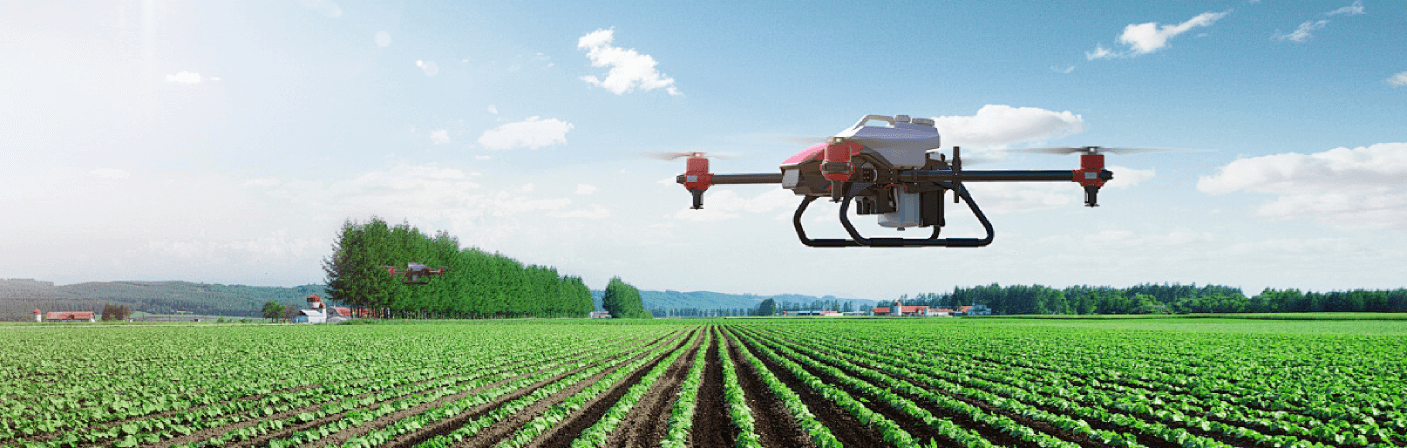 某某农业局巡检案例